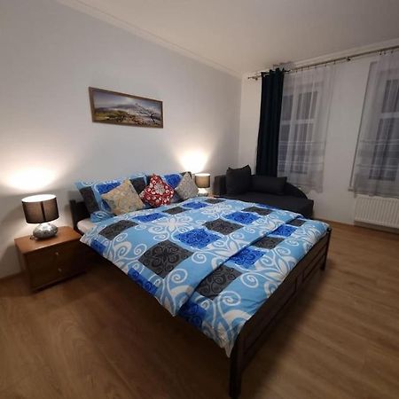 Apartman V Krusnych Horach-Free Parking Jáchymov Zewnętrze zdjęcie