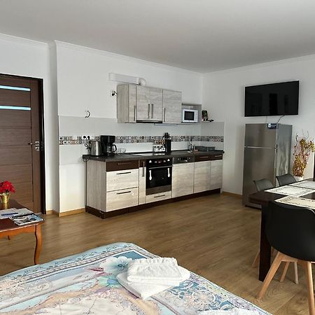 Apartman V Krusnych Horach-Free Parking Jáchymov Zewnętrze zdjęcie