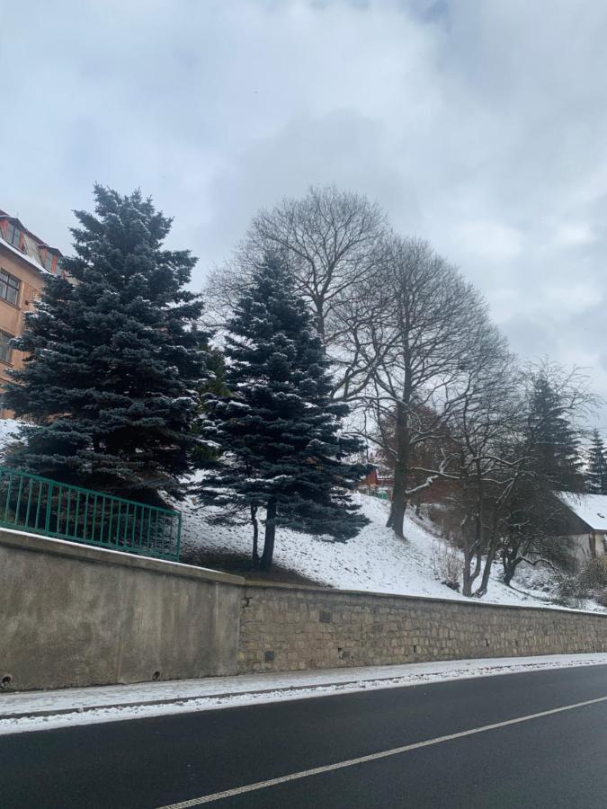Apartman V Krusnych Horach-Free Parking Jáchymov Zewnętrze zdjęcie