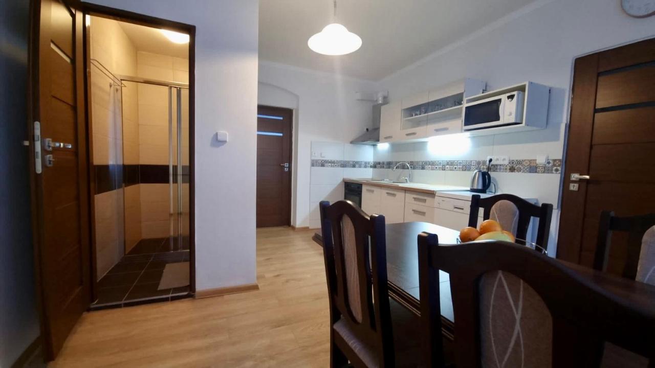 Apartman V Krusnych Horach-Free Parking Jáchymov Zewnętrze zdjęcie
