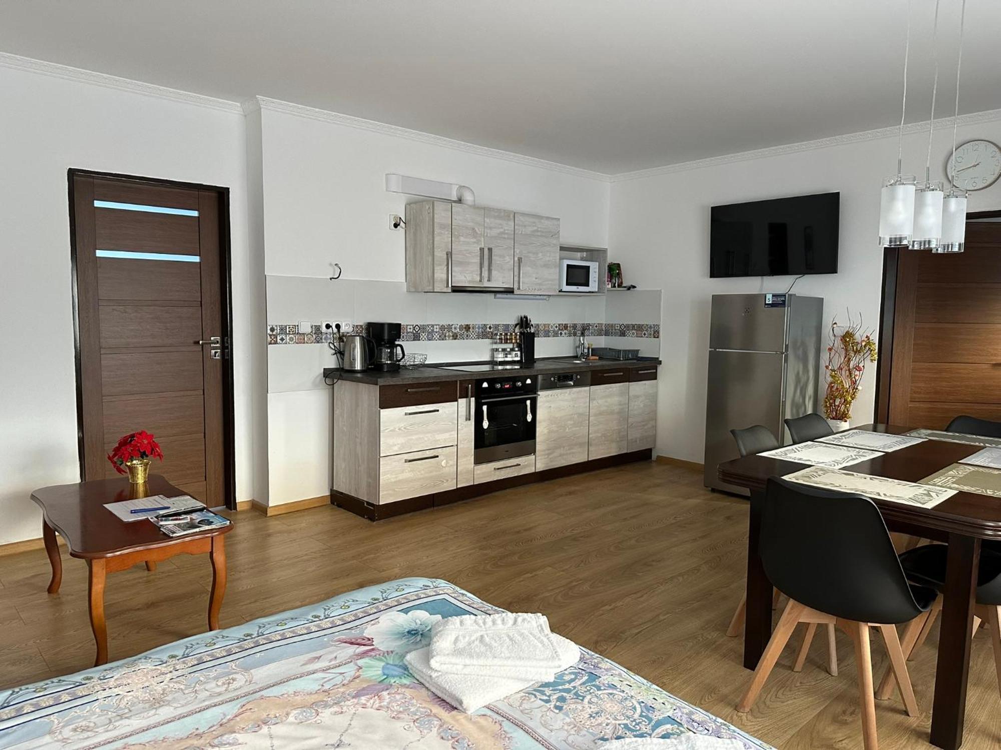 Apartman V Krusnych Horach-Free Parking Jáchymov Zewnętrze zdjęcie