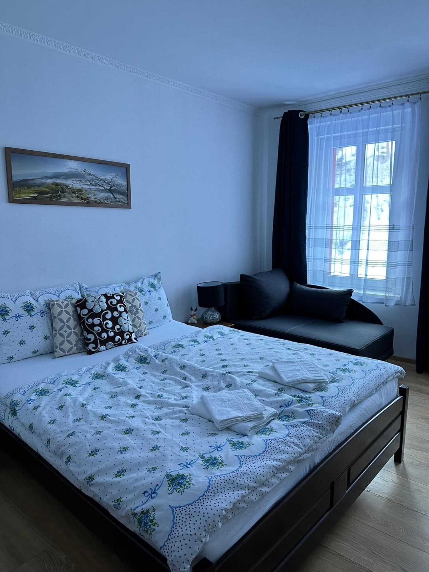 Apartman V Krusnych Horach-Free Parking Jáchymov Zewnętrze zdjęcie