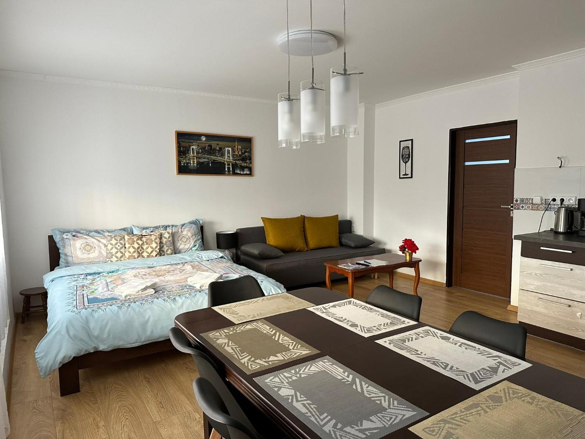 Apartman V Krusnych Horach-Free Parking Jáchymov Zewnętrze zdjęcie